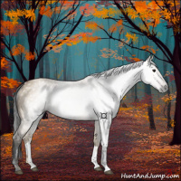 Horse Color:Gray Bay Dun 