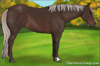 Horse Color:Silver Brown 