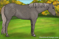 Horse Color:Silver Black