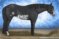 Horse Color:Black  and Black Frame 