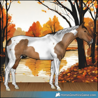Horse Color:Gray Bay Dun Tobiano 