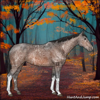 Horse Color:Brown Ice 