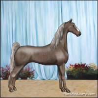 Horse Color:Silver Black