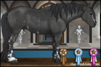 Horse Color:White Spotted Grullo  and Grullo 