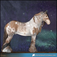 Horse Color:Bay Dun  and White Spotted Liver Red Dun Roan Appaloosa Brindle 