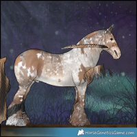 Horse Color:Bay Dun  and White Spotted Liver Red Dun Roan Appaloosa Brindle 