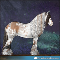 Horse Color:Bay Dun and White Spotted Liver Red Dun Roan Appaloosa Brindle
