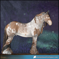 Horse Color:Bay Dun  and White Spotted Liver Red Dun Roan Appaloosa Brindle 