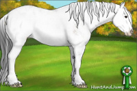 Horse Color:Brown Sabino Rabicano