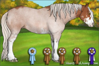 Horse Color:Silver Bay Roan Sabino 