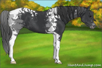 Horse Color:Black Tobiano 