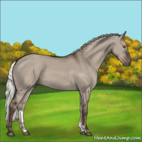 Horse Color:Liver Red Dun Mushroom Rabicano 