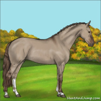 Horse Color:Liver Red Dun Rabicano 