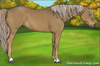Horse Color:Chocolate Palomino Mushroom 