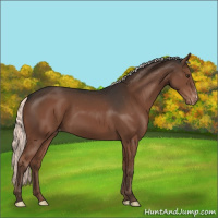 Horse Color:Liver Chestnut Mushroom Varnish 