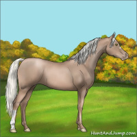 Horse Color:Liver Chestnut Pearl Mushroom 