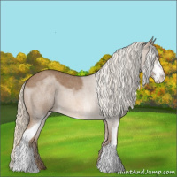 Horse Color:Chocolate Palomino Roan Sabino 