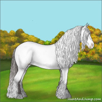 Horse Color:Liver Chestnut Sabino Varnish 