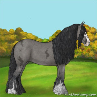 Horse Color:Grullo Ice Sabino 