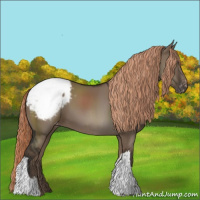 Horse Color:Liver Red Dun Snowcap 