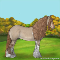 Horse Color:Liver Red Dun Tobiano Rabicano 
