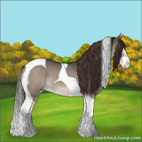 Horse Color:Liver Red Dun Splash Tobiano 