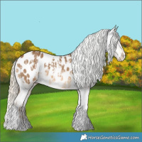 Horse Color:Chocolate Palomino Dun Tobiano Appaloosa  and Chocolate Palomino Tobiano Appaloosa 