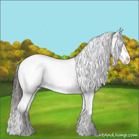 Horse Color:Liver Red Dun Tobiano Appaloosa 