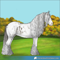 Horse Color:Liver Red Dun Splash Tobiano Appaloosa Rabicano  and Liver Red Dun Tobiano Appaloosa Rabicano 