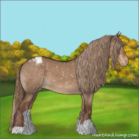Horse Color:Liver Red Dun Appaloosa 