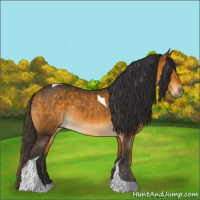 Horse Color:Buckskin Tobiano Rabicano 