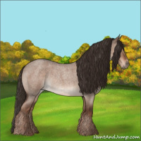 Horse Color:Liver Red Dun Roan Rabicano
