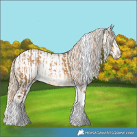 Horse Color:Chocolate Palomino Dun Tobiano  and Chocolate Palomino Dun Tobiano Appaloosa 