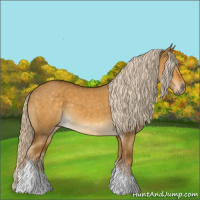 Horse Color:Chocolate Palomino Dun Tobiano 