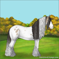 Horse Color:White Spotted Liver Red Dun Splash Tobiano Blanket Rabicano 