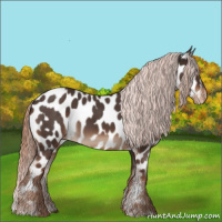 Horse Color:Liver Red Roan Near Leopard 