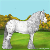 Horse Color:Liver Red Dun Roan Sabino Appaloosa 