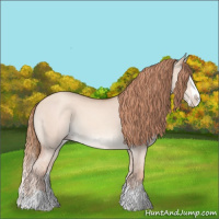 Horse Color:Gold Champagne Dun Sabino Splash 
