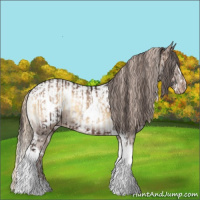 Horse Color:White Spotted Liver Red Onyx Splash  and Liver Red Dun Tobiano Appaloosa 