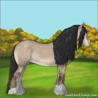 Horse Color:Liver Red Dun Varnish 