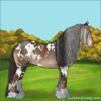 Horse Color:White Spotted Liver Red Roan Rabicano 