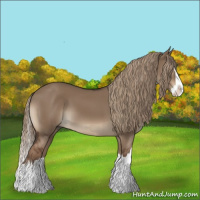 Horse Color:Liver Red Dun Sabino Splash 