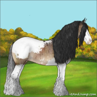 Horse Color:Bay Dun Splash Appaloosa Brindle 