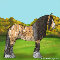 Horse Color:White Spotted Brown Appaloosa Rabicano  and Buckskin Sabino Splash Rabicano 