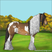 Horse Color:White Spotted Buckskin Tobiano 