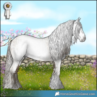 Horse Color:Gray Buckskin Pearl Sabino Tobiano  and Gray White Spotted Buckskin Pearl 