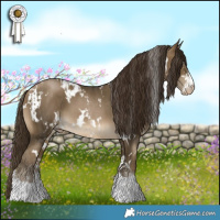 Horse Color:Gray Buckskin Pearl Sabino Tobiano  and Gray White Spotted Buckskin Pearl 