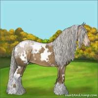 Horse Color:White Spotted Chocolate Palomino 