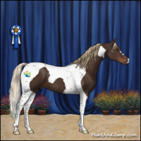 Horse Color:Liver Chestnut Tobiano 