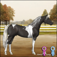 Horse Color:Liver Chestnut Mushroom Tobiano 